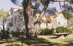 Casas De Campo Villa D'Almeida